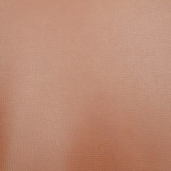 Переплетный кожзам Игуана коричневый 30 х 70 см
