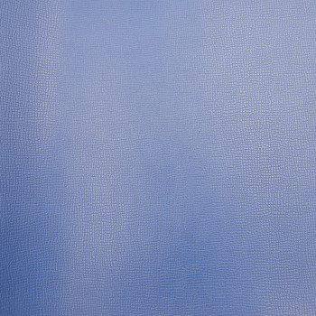 Переплетный кожзам Игуана синий 35 х 140 см